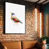Aves 06