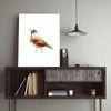 Aves 06