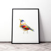 Aves 06