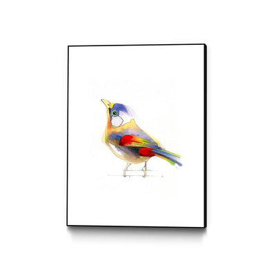 Aves 06
