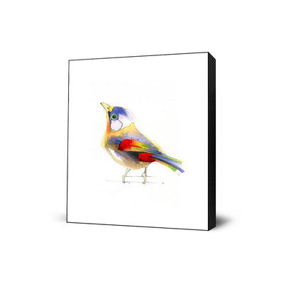 Aves 06