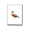 Aves 06