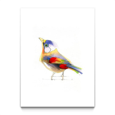 Aves 06