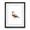 Aves 06
