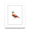 Aves 06
