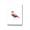Aves 06