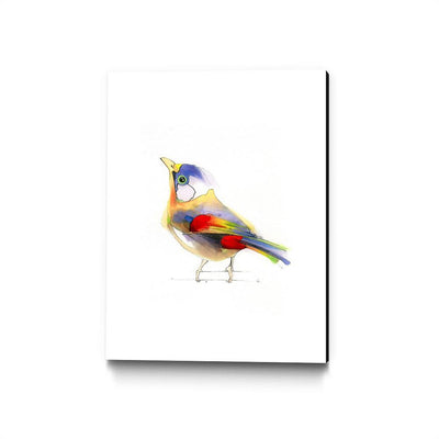 Aves 06