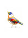 Aves 06