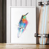 Aves 09