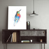Aves 09