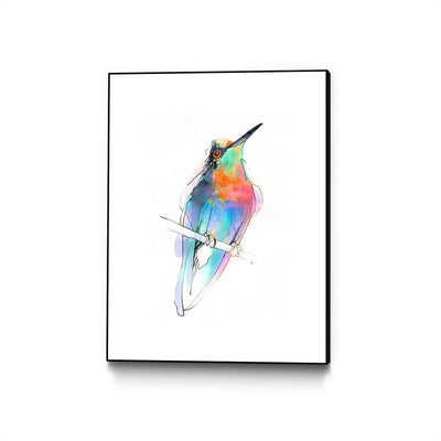 Aves 09