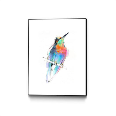 Aves 09