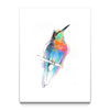 Aves 09