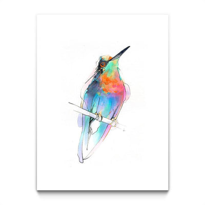 Aves 09