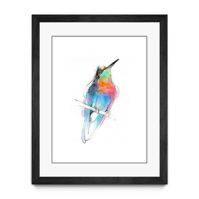 Aves 09
