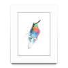 Aves 09