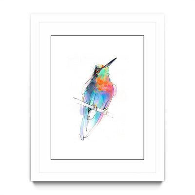 Aves 09