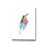 Aves 09