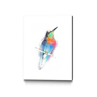 Aves 09
