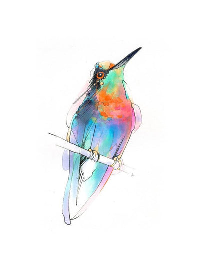 Aves 09