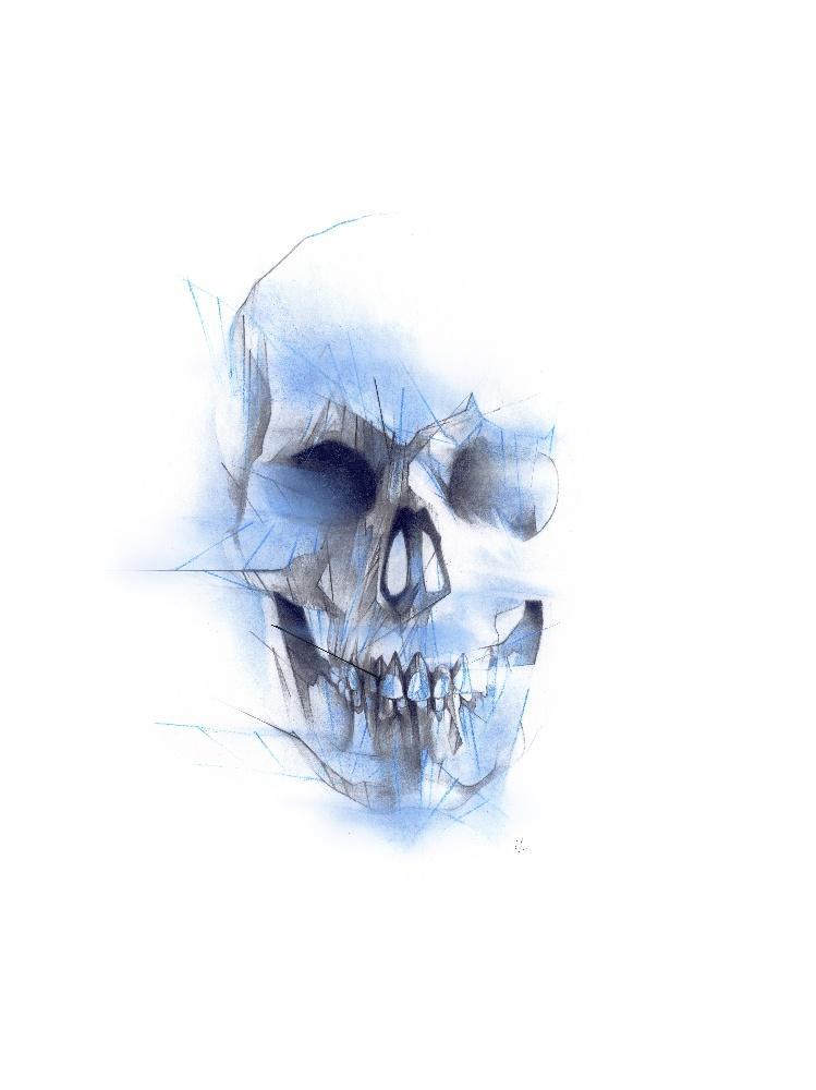 Blue Skull by Alexis Marcou - Eyes On Walls
