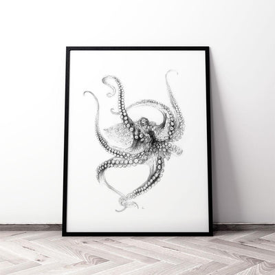 Octopus