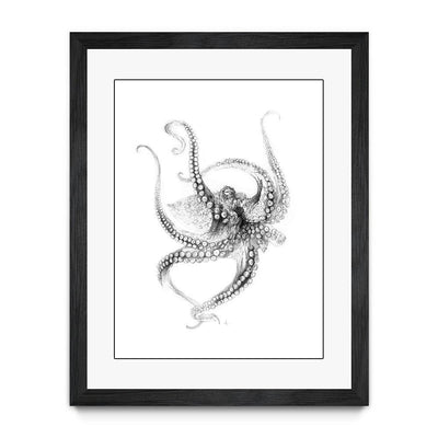 Octopus