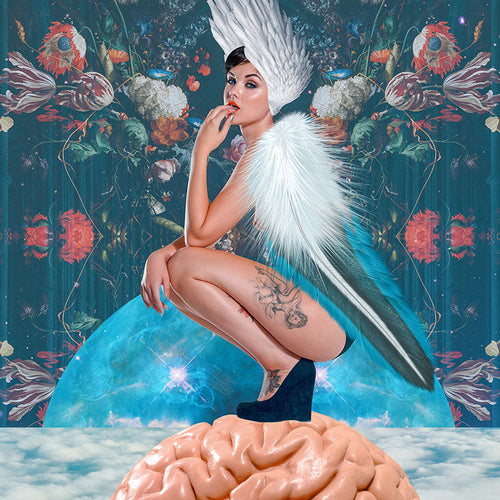 The Riddle of Consciousness