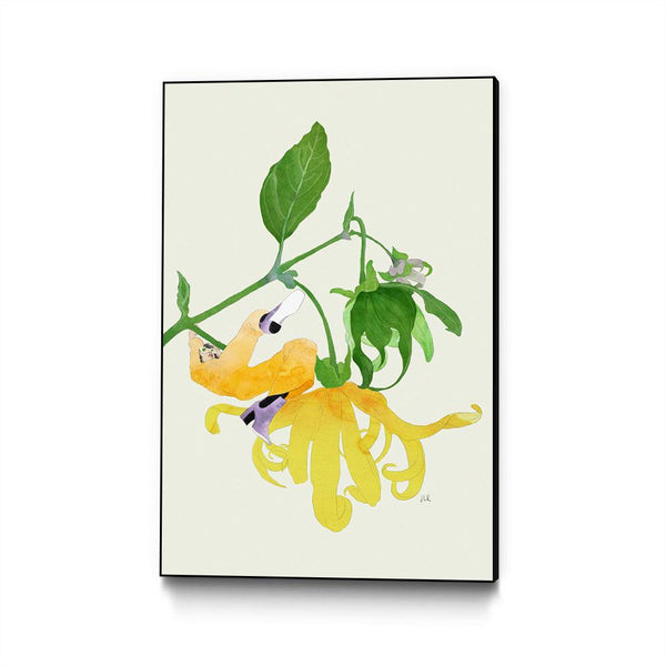 In The Garden Galaxy # 1