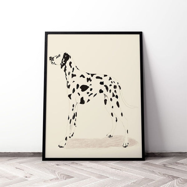 P & C Dalmation