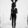 Lepus