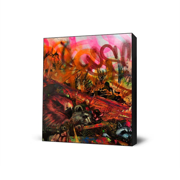 We Are Hawks Bears Deer and Raccoons