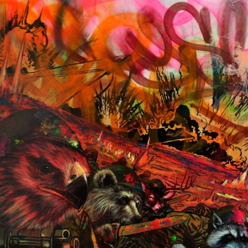 We Are Hawks Bears Deer and Raccoons