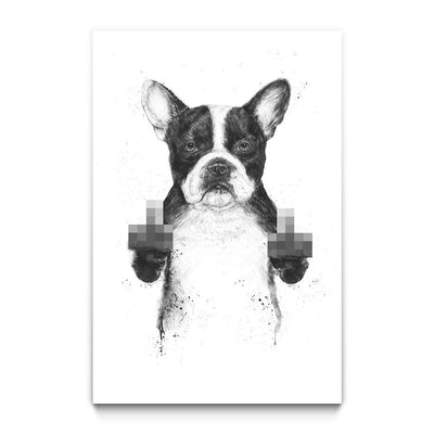 Censored Dog