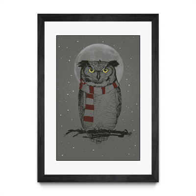 Winter Owl