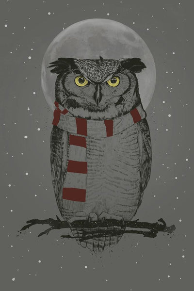 Winter Owl