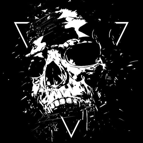 Skull X (bw)