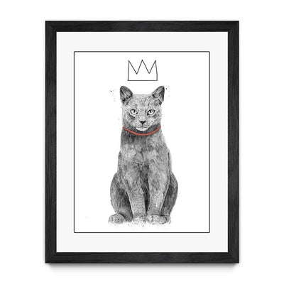 King of Everything