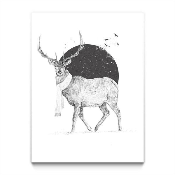 winter is All Around II