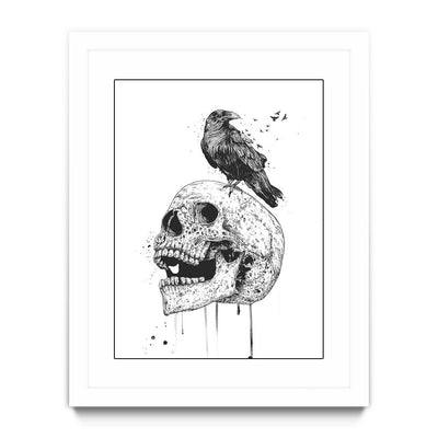 New Skull (b/w)