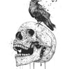 New Skull (b/w)