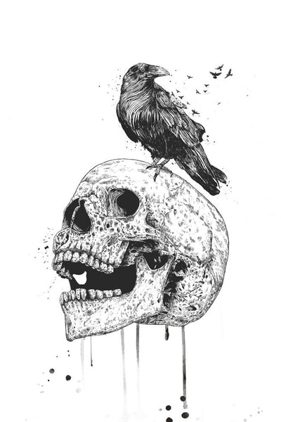 New Skull (b/w)