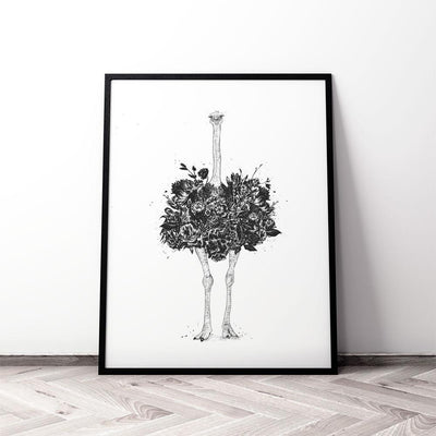 Floral Ostrich