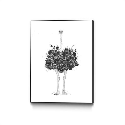 Floral Ostrich