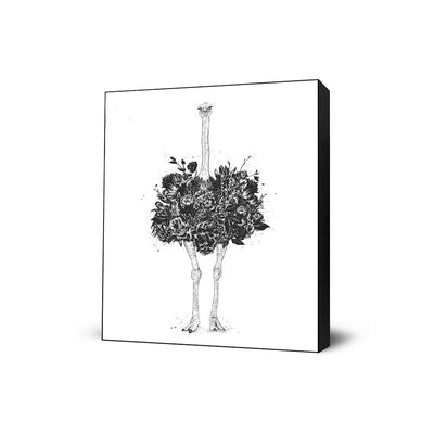 Floral Ostrich