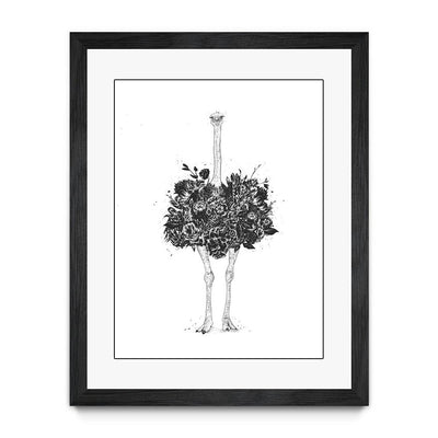 Floral Ostrich