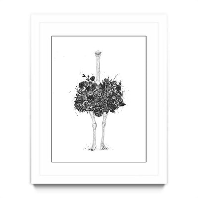 Floral Ostrich