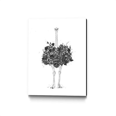 Floral Ostrich