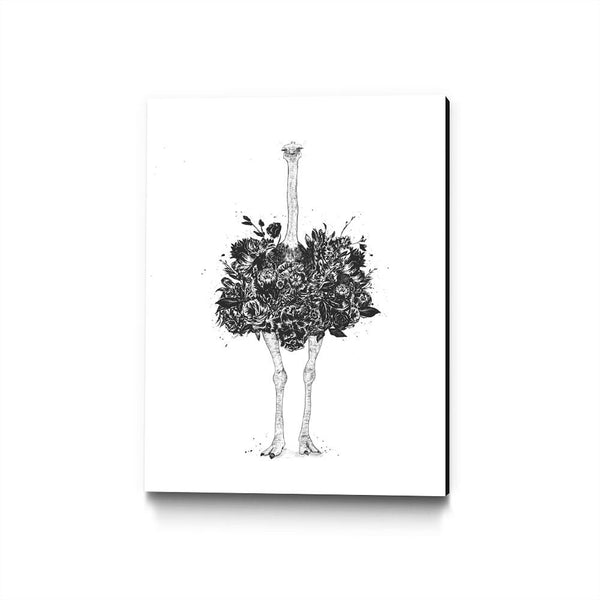 Floral Ostrich