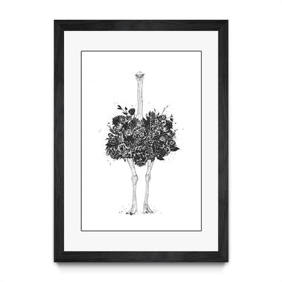 Floral Ostrich